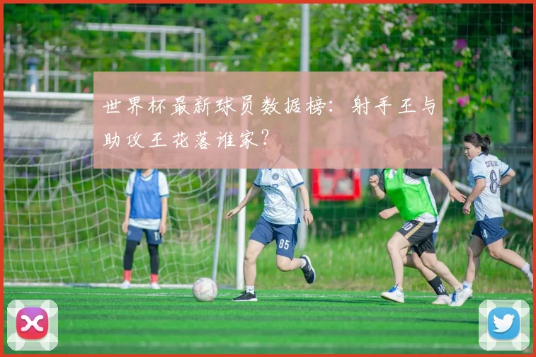 世界杯最新球员数据榜：射手王与助攻王花落谁家？