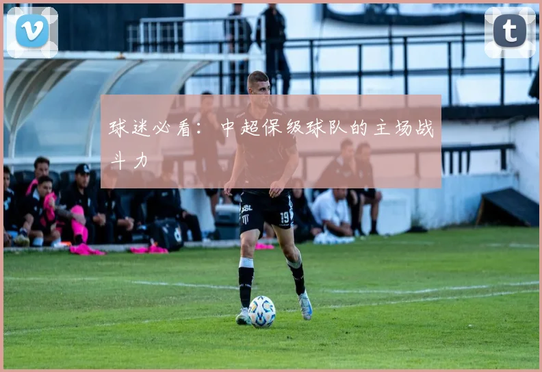 球迷必看:中超保级球队的主场战斗力